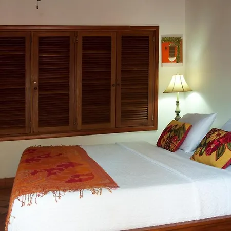 Luxury Colonial Old Rooftop Views Private Pool *